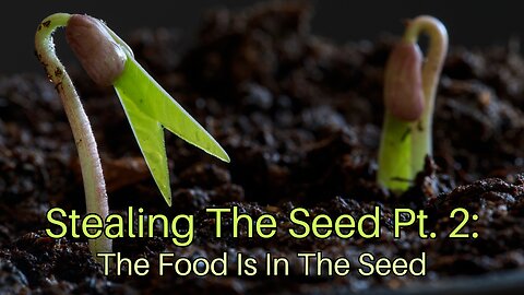 Stealing The Seed Pt. 2: The Food Is In The Seed