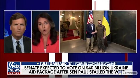 What is the REAL Cost? Tulsi Gabbard Interview