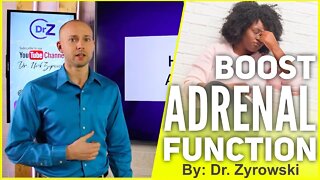 How To Fix Your Adrenal Function & Not Feel Fatigue! | Dr. Nick Z.