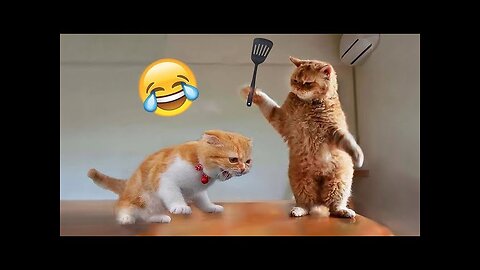 Funniest CATS and DOGS 2024 😂 Funny ANIMALS video