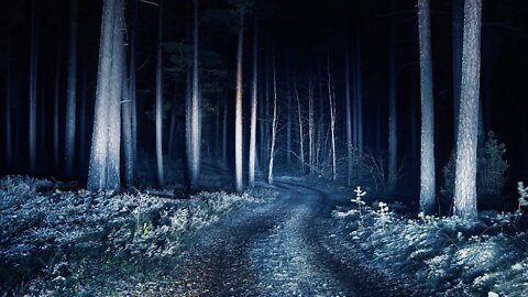 Spooky Winter Music – Black Coal Woods