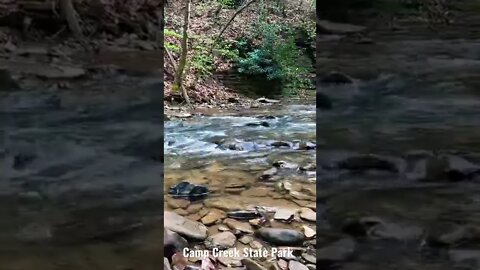 Sounds Of Nature At Camp Creek State Park!