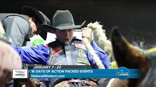 16 Days of Action // National Western Stock Show