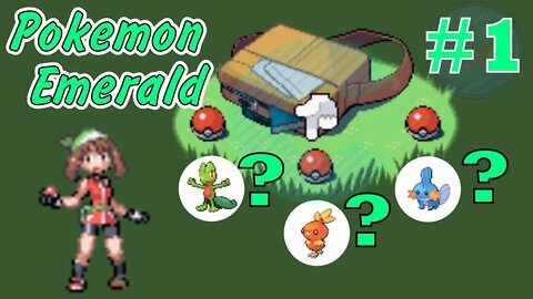 Choosing a Starter: Treecko, Torchic, or Mudkip! Pokémon Emerald - Part 1