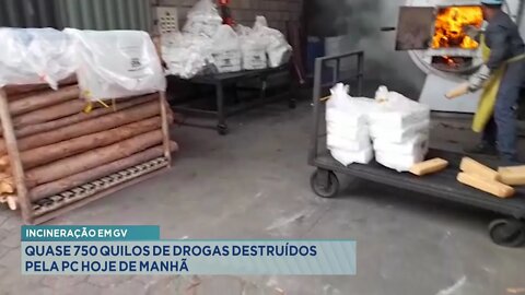 Incineração em GV: Quase 750 quilos de Drogas destruídos pela PC hoje de manhã.