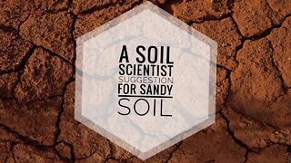 HOW TO FIX SANDY SOIL FOR PLANTING A GARDEN | A Soil Scientists Opinion | Gardening in Canada