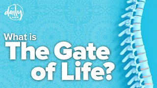 What Is the Gate of Life?