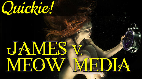 Quickie: James v. Meow Media Inc.