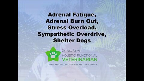 Adrenal Fatigue