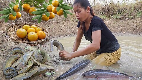 Survival Skill: Catching fish in the mud & Pick oranges fruits - Grilled fish salt chili for lunch
