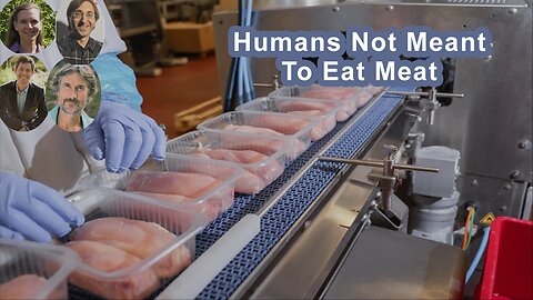 Why Humans Were Actually Not Meant To Eat Meat