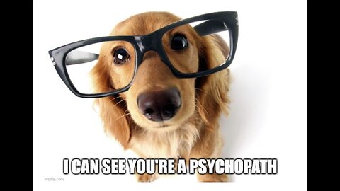 Dog Psychology | #023 [Part 2] The PSYCHO THERAPISTS Podcast