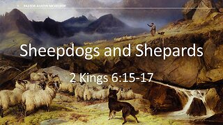 Sheepdogs and Shepards, Pastor Mckelroy, 5-21-23 PM