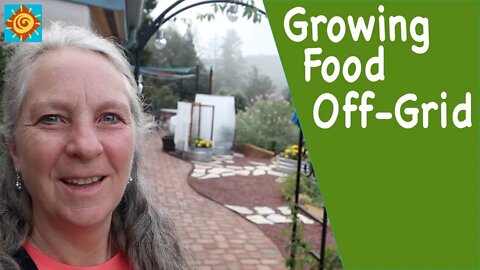 Growing Our FOOD Off-Grid | EP 8 Summer at our OFF GRID SELF-SUSTAINING HOME in Colorado