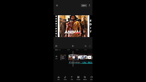 Animal trailer 🔥 (edit) Animal theme @tseries #sandeepreddyvanga #ranbirkapoor