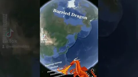 Burried Dragon