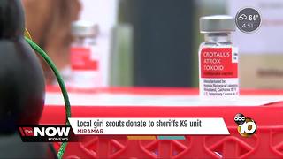 Local Girl Scouts Donate to Sheriffs K9 Unit