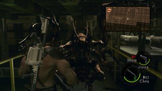 RE5 part 12, Why more Bugs?