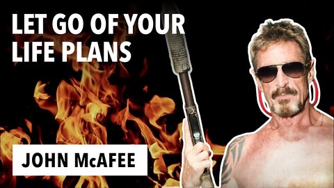 John McAfee on Success: Let Go of Your Life Plans! (Highlight)