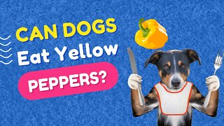 Can Dogs Eat Yellow Peppers? All you need to know right now.