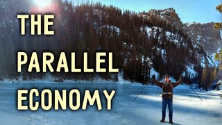 The Parallel Economy Is Forming but It’s Gonna Take a While for Major Adoption