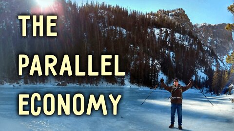 The Parallel Economy Is Forming but It’s Gonna Take a While for Major Adoption