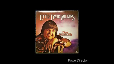 Little David Wilkins - Make Me Stop Loving Her