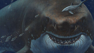 How The Megalodon Was A Bizarre Predator!