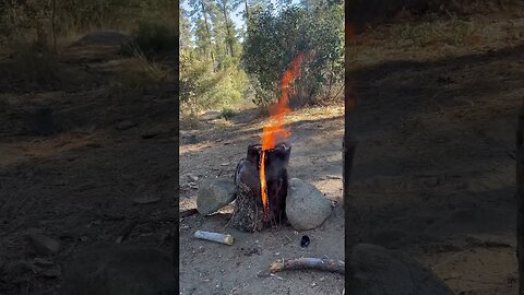 Log fire