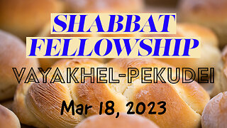 Shabbat Fellowship - Vayakhel-Pekudei - Plus LIVE Q&A (Mar 18 2023)