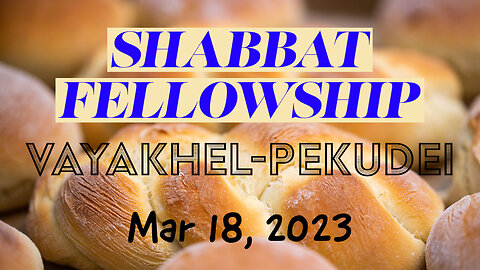 Shabbat Fellowship - Vayakhel-Pekudei - Plus LIVE Q&A (Mar 18 2023)