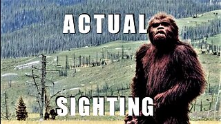 NEW BIGFOOT SIGHTINGS 2023