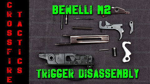 Benelli m2 - Trigger group full disassembly and reassembly - "How to" Tutorial