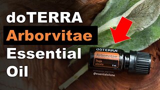 doTERRA Arborvitae Essential Oil Benefits and Uses