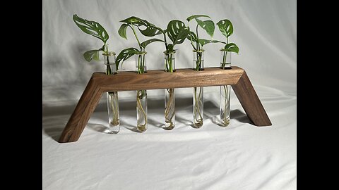 Walnut propagation station