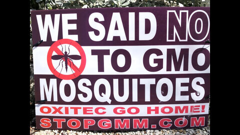 EPA Approves GMO Mosquitos