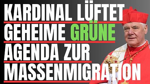 🟩💩Die Pläne der Grünen von Kardinal Müller enthüllt: Massenmigration wird, Deutschland zerstören🔥