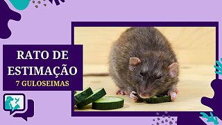 7 Guloseimas para o lanche dos ratos