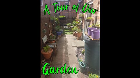 A Tour of our Back Yard (aka 'The Garden')