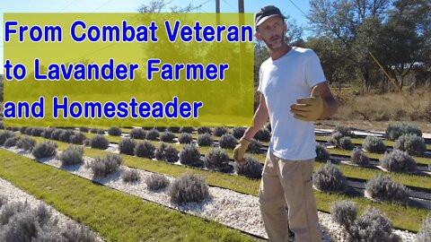 Combat Veteran becomes Florida Lavender Farmer/Southern Grace Lavender Farm