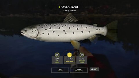 Russian Fishing 4 Kuori lake Sevan Trout 3 . 889 Kg