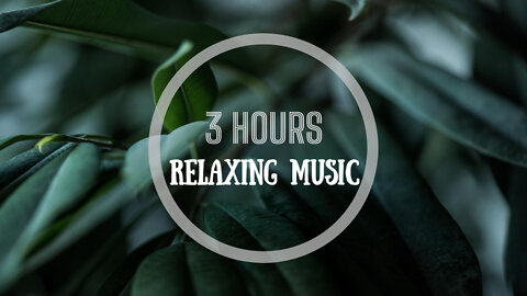 Meditation ~ Deep Sleeping Music, Relaxing Music