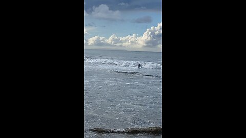 Surfing is the cleansing of the soul