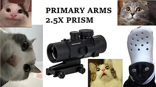 Primary Arms 2.5X ACSS: Wicked Good Value
