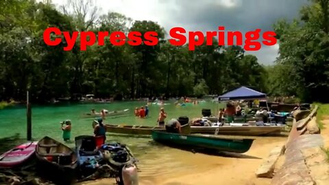 Clear Swimming River in Florida! Cypress Springs was a great time!