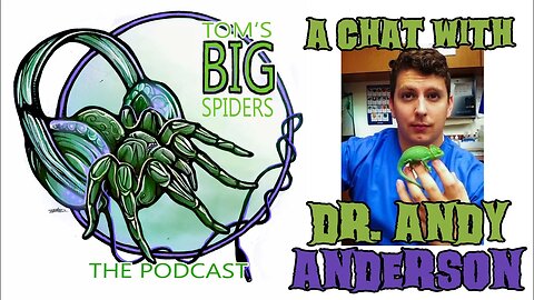 A Conversation with Veterinarian Dr. Andy Anderson About Tarantula Health Pt. 1 (TBS Podcast).