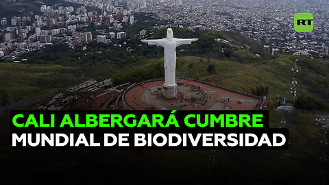 La ciudad colombiana de Cali alojará la cumbre mundial de Naciones Unidas