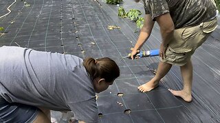 Working With Your Spouse 🫛 Planting More Greenbeans #farming #homestead #garden #marriedlife