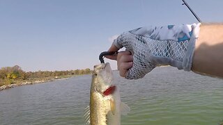 Iowa Bass Fishing | 10/10/2020