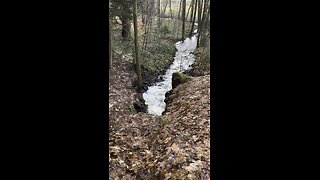 Moravian stream